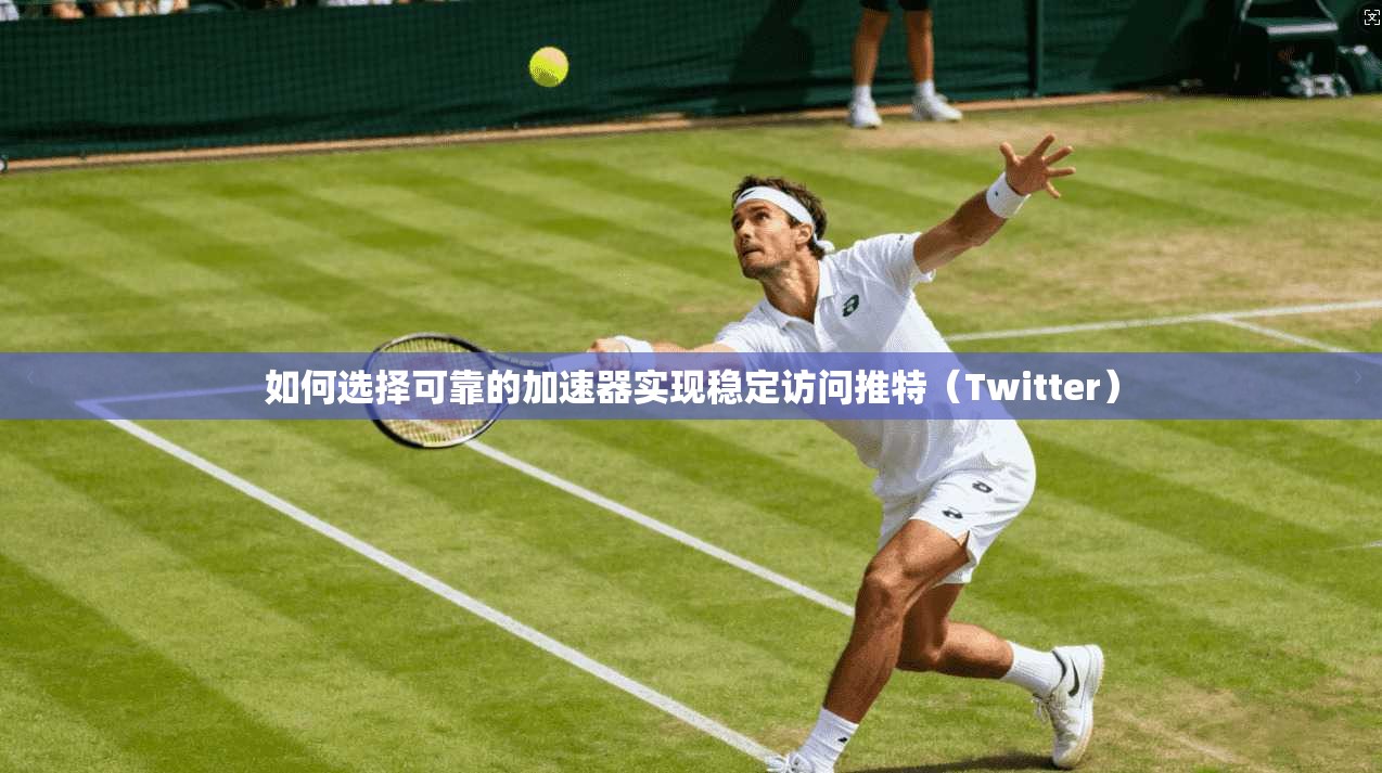 如何选择可靠的加速器实现稳定访问推特（Twitter）