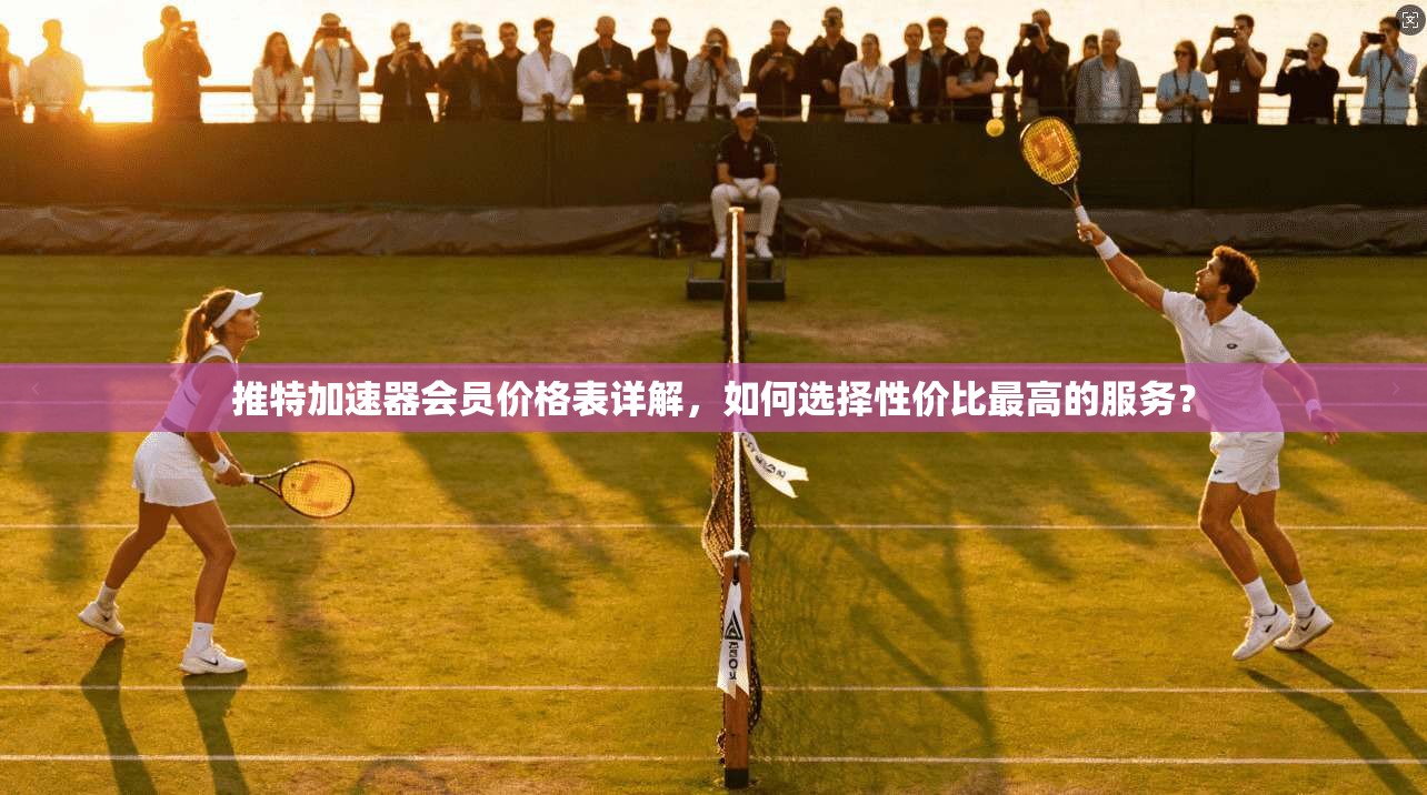 推特加速器会员价格表详解，如何选择性价比最高的服务？
